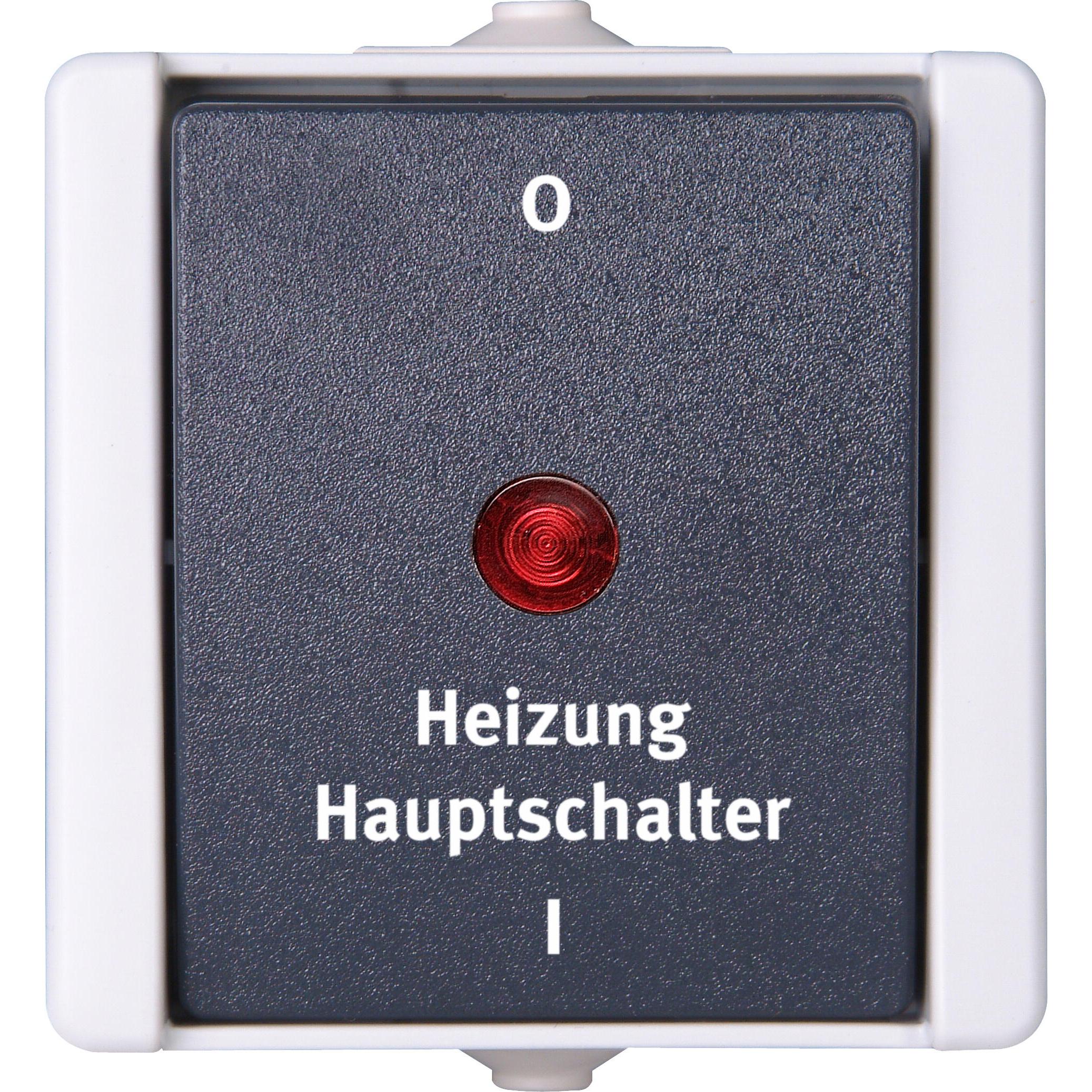 proAQA – Heizungshauptschalter, Farbe: grau