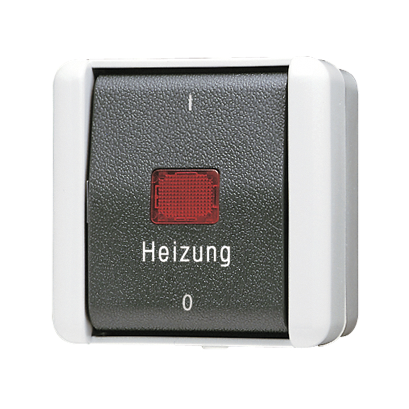 Heizungsschalter, 10 AX, 250 V ~, rotes Lichtaustrittsfenster, Kennzeichnung 1 / 0, Aus 2-polig