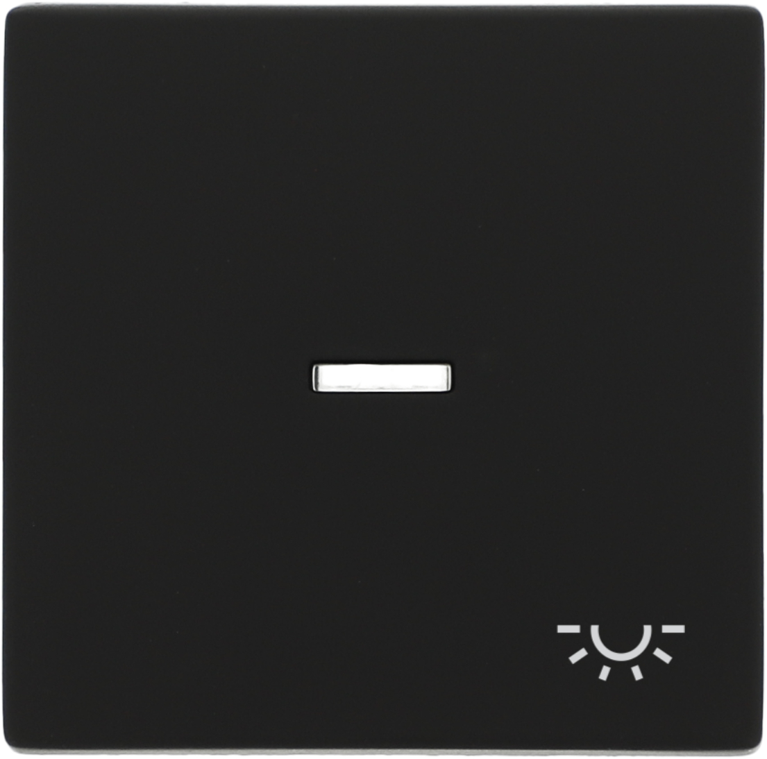 Wippe mit Licht-Symbol schwarz matt RAL 9005 K55