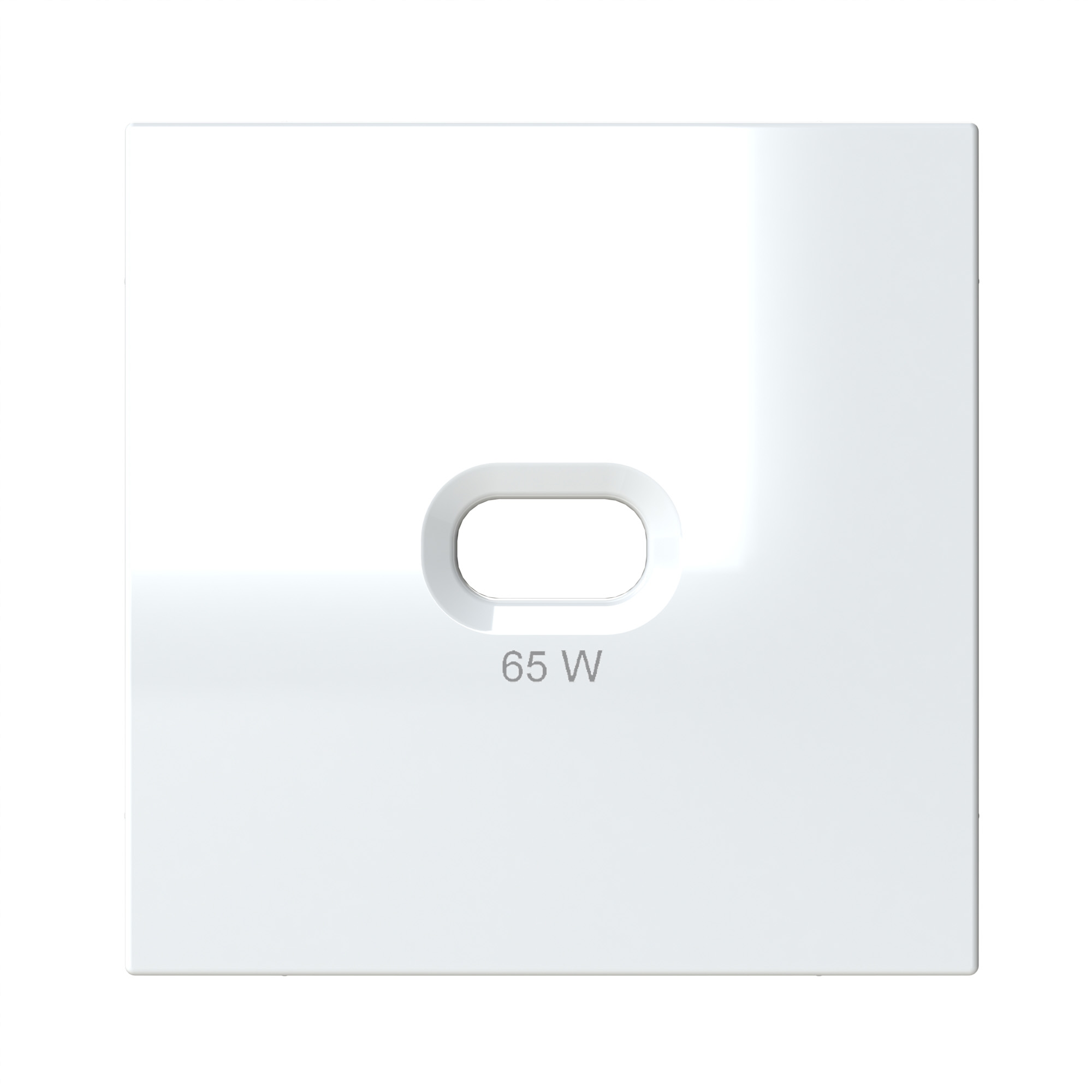 Abdeckplatte für USB-C Steckdose 65 W polarweiß-seidenglanz OPUS 55